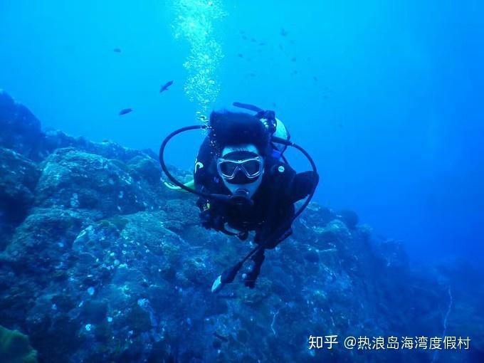香港西九龙站 香港快速直达大陆的高铁站知识星球平台-专业知识共享社区
